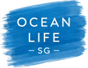 OCEAN LIFE SG